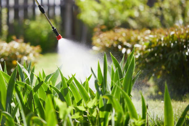 24/7 Emergency Mosquito Control experts in Dilley, TX