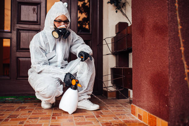Reliable Mosquito Control contractor in Dilley, TX by Show Me Pest Control